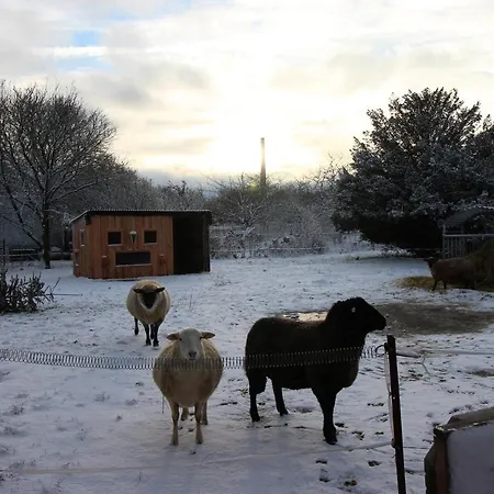 Lejlighed Gutshof Dubnitz Gutshof Dubnitz -ferienwohnung 3 