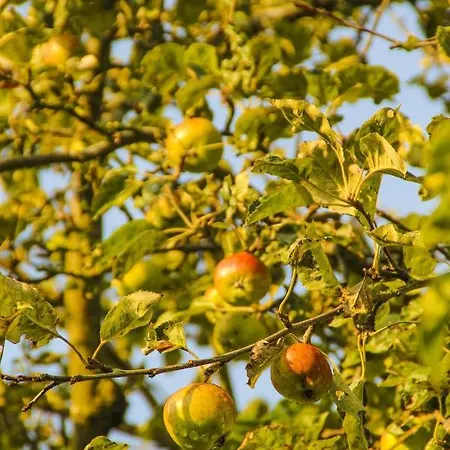 Gutshof Dubnitz Gutshof Dubnitz -ferienwohnung 3 